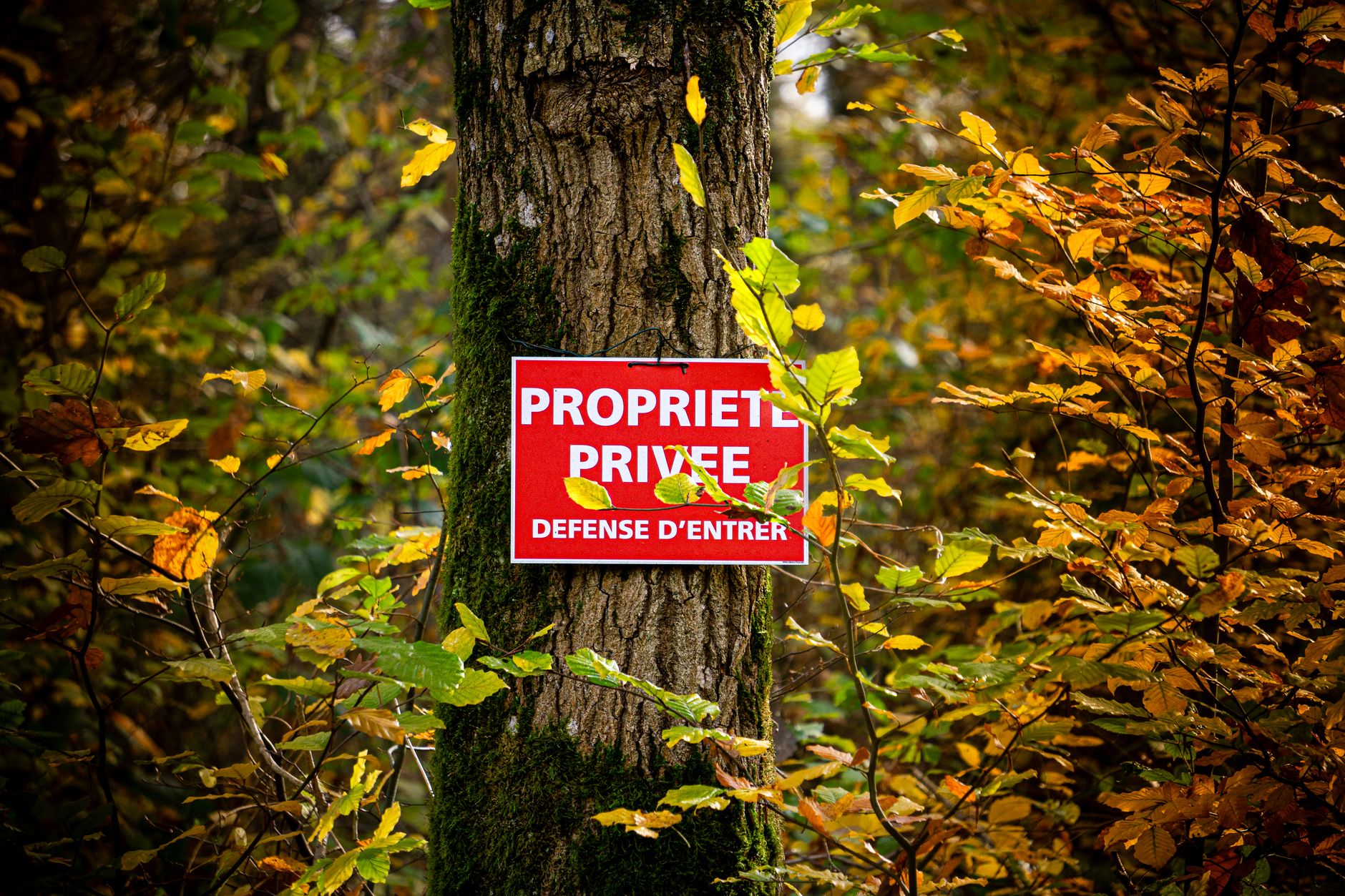 Détective privé à Levallois-Perret